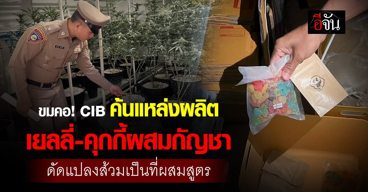 อี๋! ขมคอ CIB บุกค้นแหล่งผลิตเยลลี่-คุกกี้ผสมกัญชา ดัดแปลงส้วมเป็นที่ผสมสูตร ส่งขายออนไลน์ 