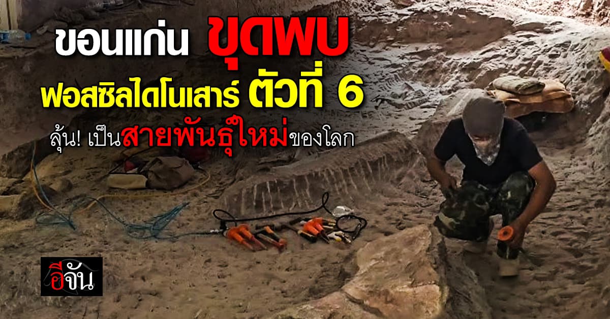 สุดภูมิใจ! ขอนแก่น ขุดพบฟอสซิลไดโนเสาร์ ตัวที่ 6 ลุ้น เป็นสายพันธุ์ใหม่ของโลก