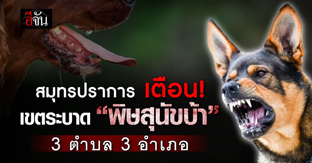 สมุทรปราการ เตือนเขตระบาด “พิษสุนัขบ้า” 3 ตำบล 3 อำเภอ