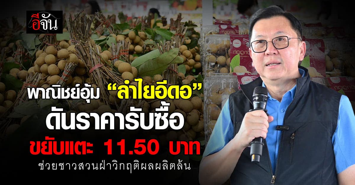 พาณิชย์อุ้ม “ลำไยอีดอ” ดันราคารับซื้อ ขยับแตะ 11.50 บาท