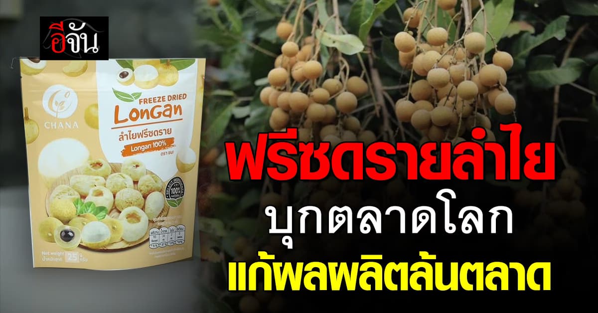 “ฟรีดรายลำไย” พลิกวิกฤตราคาตกต่ำสู่สินค้าส่งออก