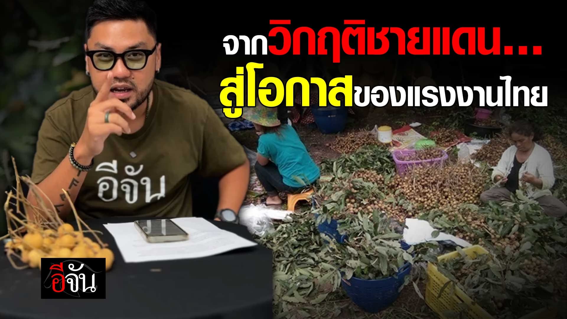 🎬 จากวิกฤติชายแดน… สู่โอกาสของ ชาวสวน ลำไย