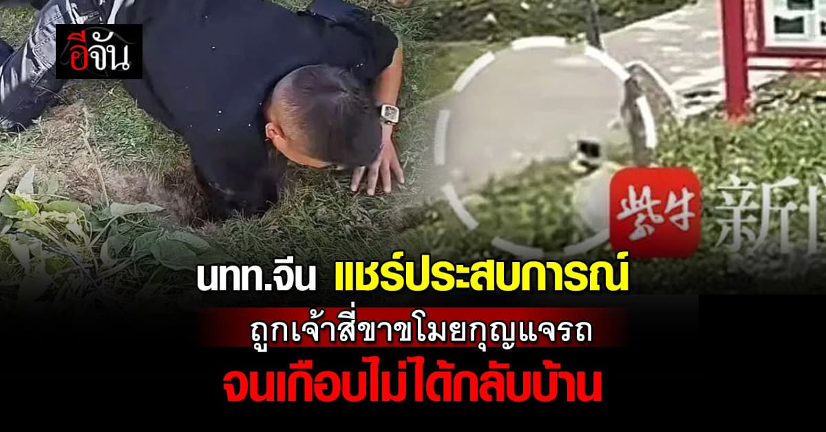 โซเชียลฮือฮา!  “มาร์มอต” ตัวแสบขโมยกุญแจรถนักท่องเที่ยวจีน จนเกือบไม่ได้กลับบ้าน