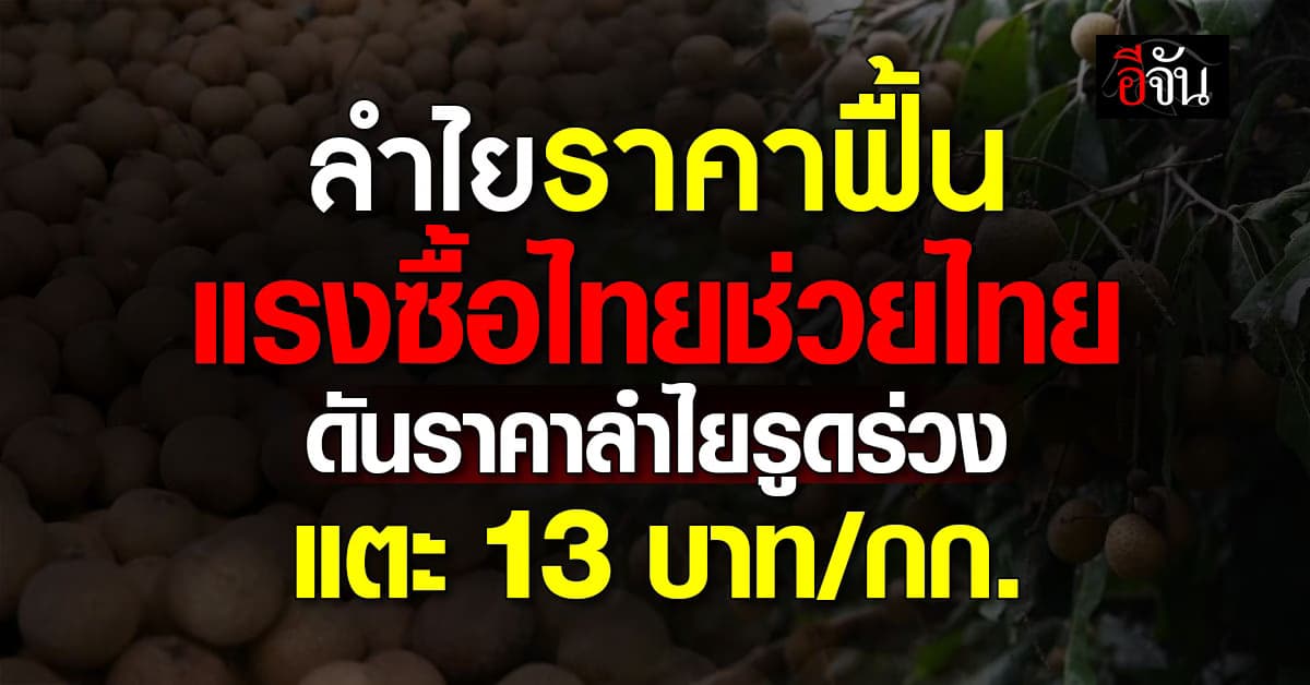 พลังไทยช่วยไทย ดันราคาลำไยขยับสูง แตะ 13 บาท/กก.