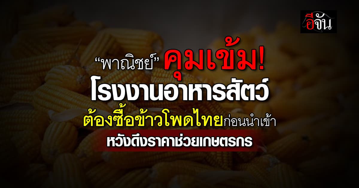 “DIT” บังคับเข้ม! โรงงานอาหารสัตว์ต้องรับซื้อข้าวโพดในประเทศ ก่อนขอโควตานำเข้า