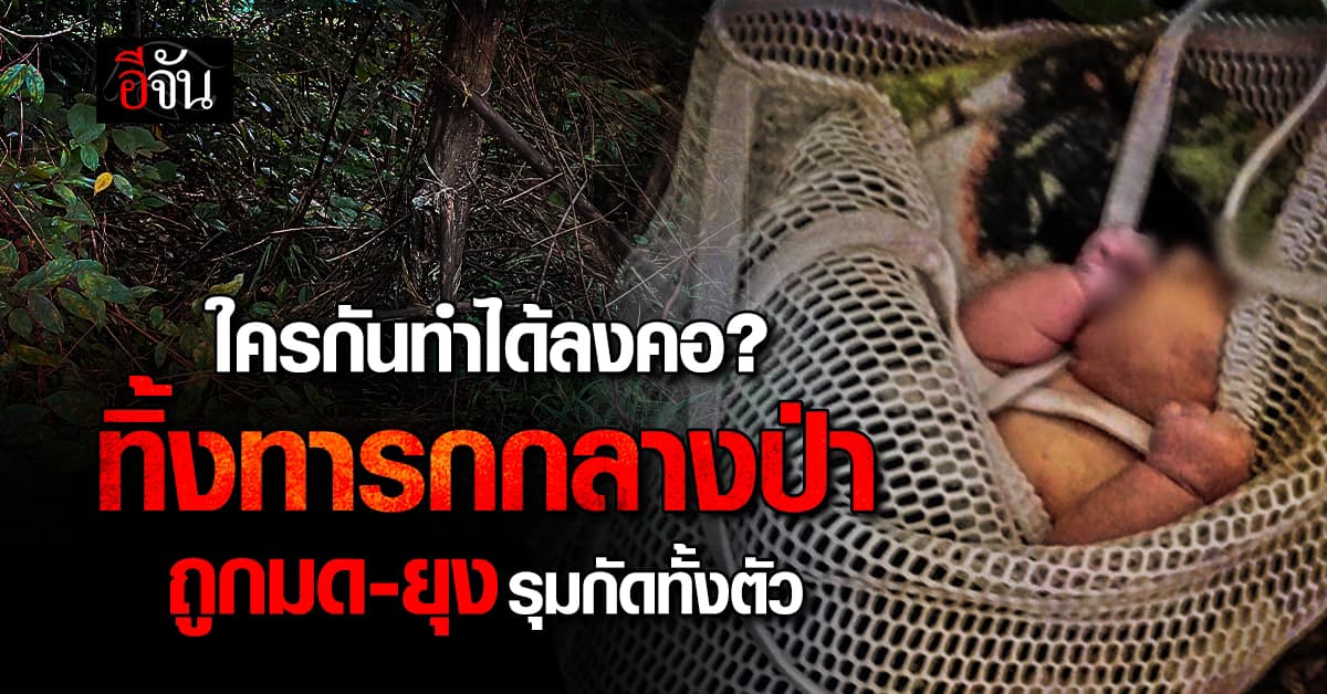 ใครกันทำได้ลงคอ? ทิ้ง “ทารก” กลางป่าท้ายหมู่บ้าน โชคดีเจ้าของสวนยางพาราช่วยทัน  