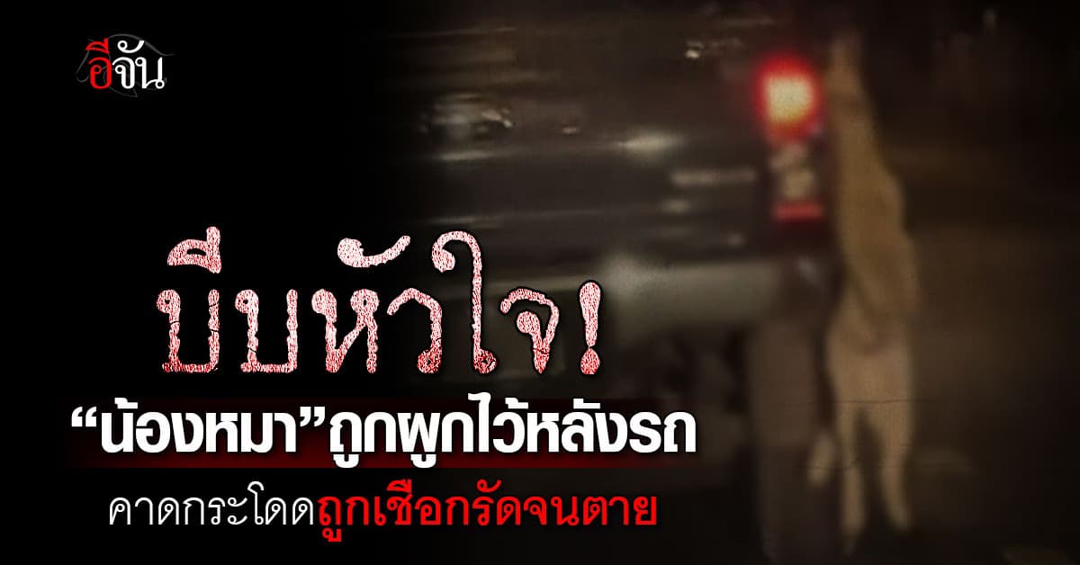 บีบหัวใจ! “น้องหมา” ตายอนาถโดนเชือกรัดคอห้อยไปกับรถ  