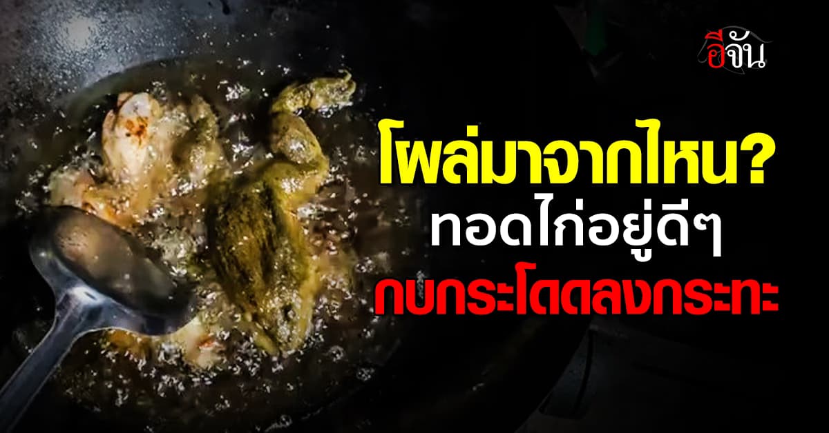 ใครเห็นก็งง! ทอดไก่อยู่ดีๆ มีกบตัวใหญ่ กระโดดลงกระทะ 