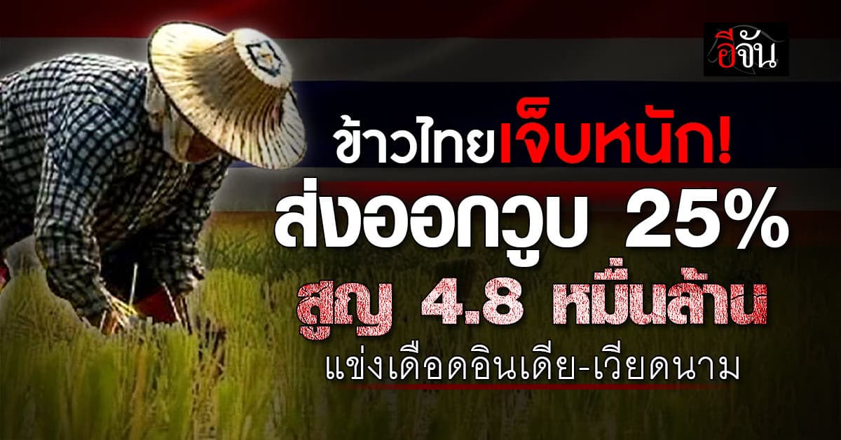 ข้าวไทยเจ็บหนัก! ส่งออกวูบ 25% สูญรายได้ 4.8 หมื่นล้าน