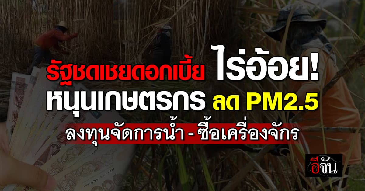 ครม. ไฟเขียวโครงการชดเชยดอกเบี้ยให้กับเกษตรกรชาวไร่อ้อย
