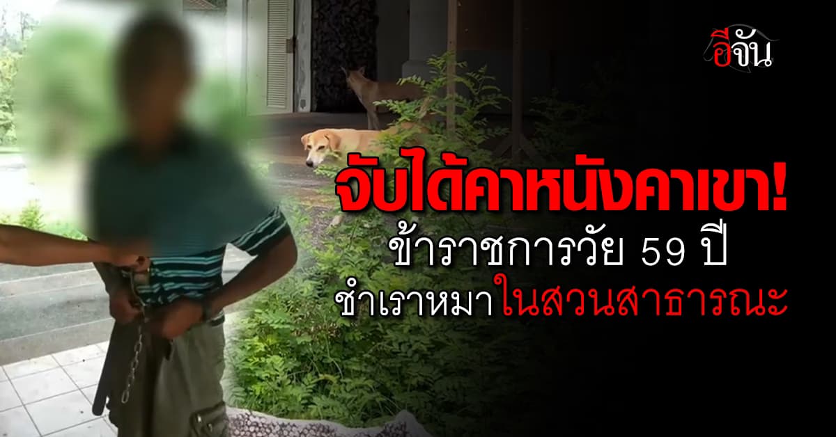 จับได้คาหนังคาเขา! ข้าราชการวัย 59 ปี ชำเราหมาในสวนสาธารณะ  