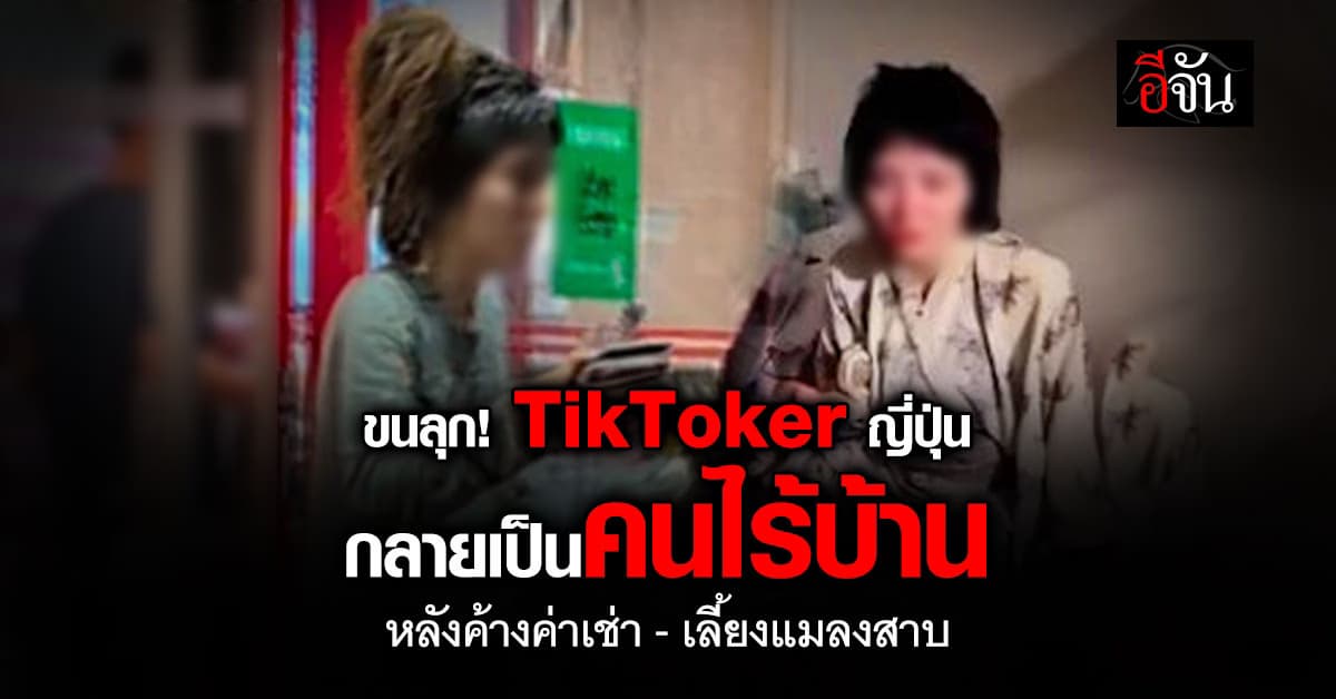 ขนลุก! TikToker ญี่ปุ่น กลายเป็นคนไร้บ้าน หลังค้างค่าเช่า-ทำคอนเทนต์เลี้ยงแมลงสาบในห้อง