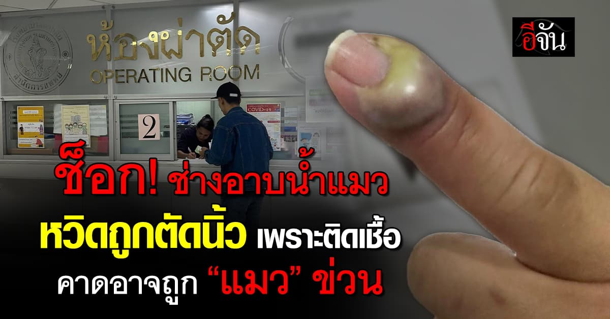 อุทาหรณ์! ช่างอาบน้ำแมว หวิดถูกตัดนิ้วหลังติดเชื้อ 