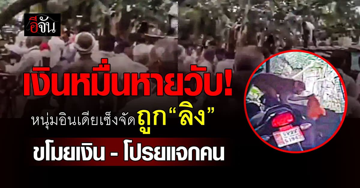 ชาวบ้านงง? หลังมีเงินหล่นมาจากต้นไม้ แท้จริงแล้วเป็นเพราะ “ลิง”   