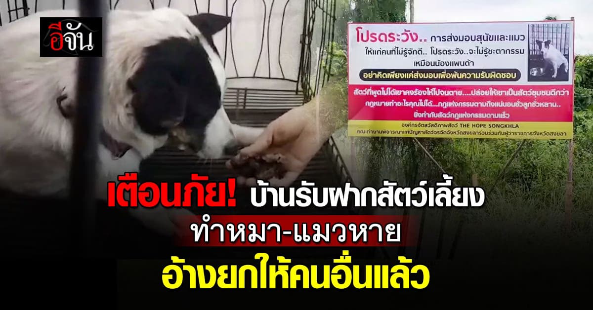 ไม่ใช่เคสแรก! “เดอะโฮปสงขลา” เตือนภัย บ้านรับฝากสัตว์เลี้ยง ทำหมา-แมวสูญหาย อ้างยกให้คนอื่นแล้ว 
