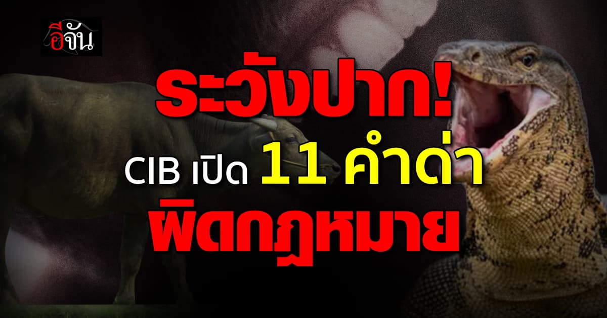 ด่าไม่ยั้ง ระวังเจอคุก! CIB เปิด 11 คำด่าผิดกฎหมาย ฐานดูหมิ่นผู้อื่นซึ่งหน้า 