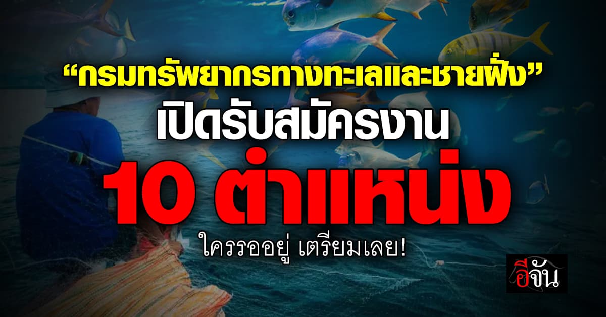 “กรมทรัพยากรทางทะเลและชายฝั่ง” กรมทรัพยากรทางทะเลและชายฝั่งเปิดรับสมัครงาน 10 ตำแหน่ง 