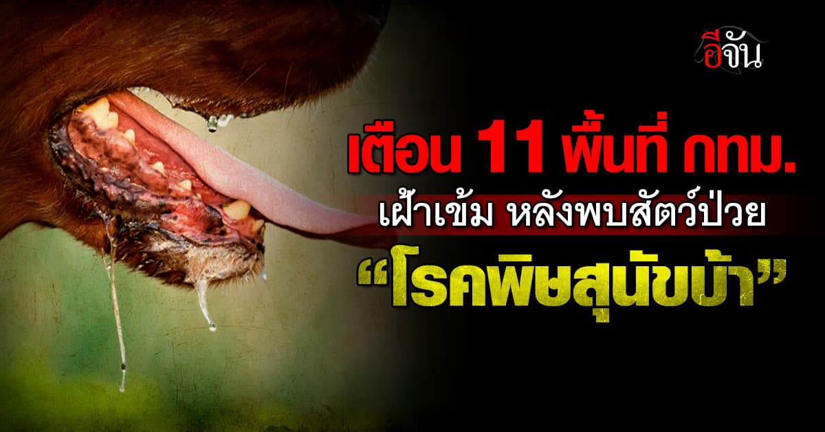 เเจ้งเตือนภัย 11 พื้นที่ กทม. หลังพบสัตว์ป่วย “โรคพิษสุนัขบ้า”  