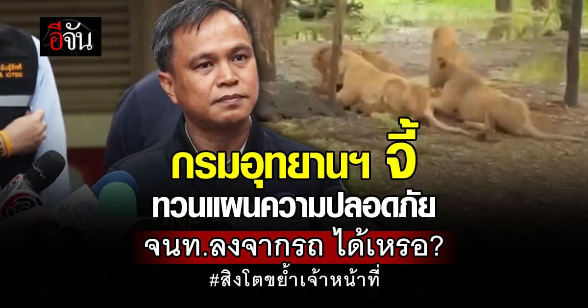 กรมอุทยานฯ จี้สวนสัตว์ ทวนแผนความปลอดภัย หลังเหตุสลด สิงโตรุมขย้ำเจ้าหน้าที่