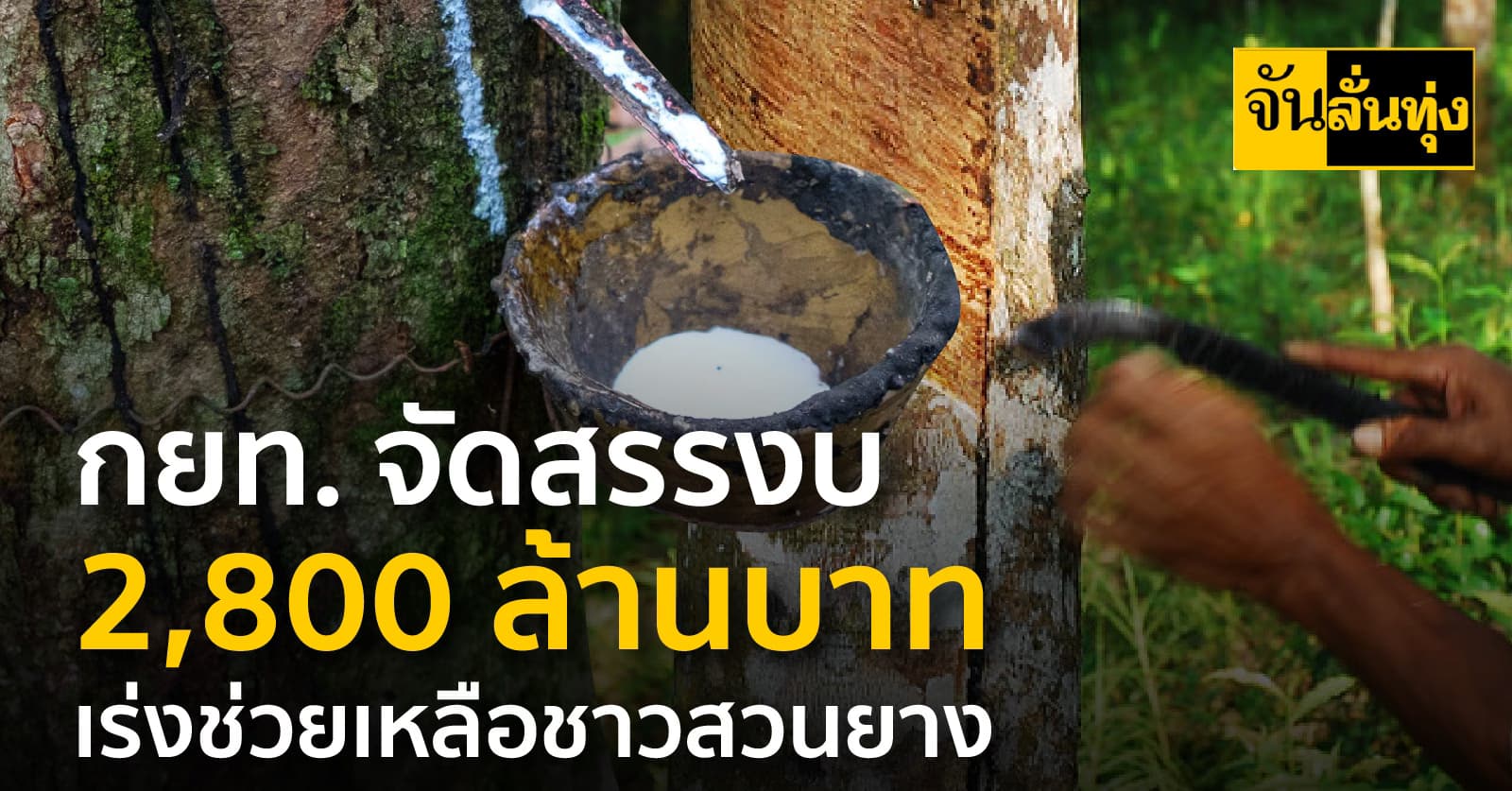 กยท. จัดสรรงบ 2,800 ล้านบาท เร่งช่วยเหลือชาวสวนยาง เดินหน้าจ่ายเงินฯ เสร็จสิ้น ภายใน 15 ก.ย. นี้