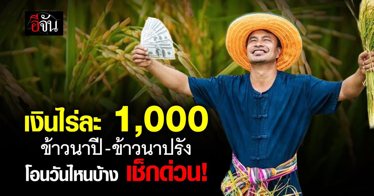 เงินไร่ละ 1,000 โอนแล้วบางส่วน ใครยังไม่เข้า เช็กสิทธิ์ด่วน!