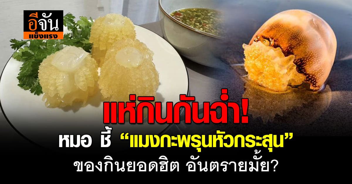 ไขข้อสงสัย? หลัง“แซนวิช ปภาดา” กินแมงกะพรุนหัวกระสุน แล้วเข้า รพ. 