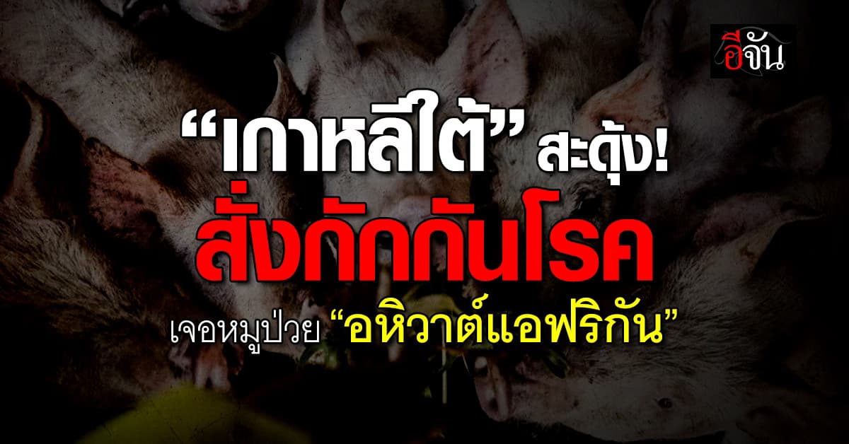 เกาหลีใต้ สั่งกักกันโรค หลังพบหมูป่วย “อหิวาต์แอฟริกัน”