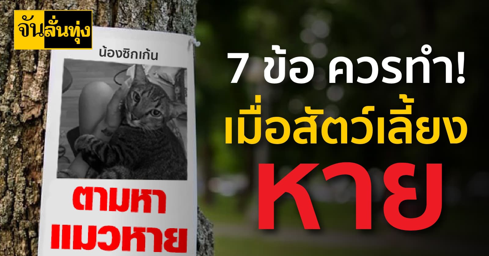 7 ข้อ ควรทำ! เมื่อสัตว์เลี้ยงหาย