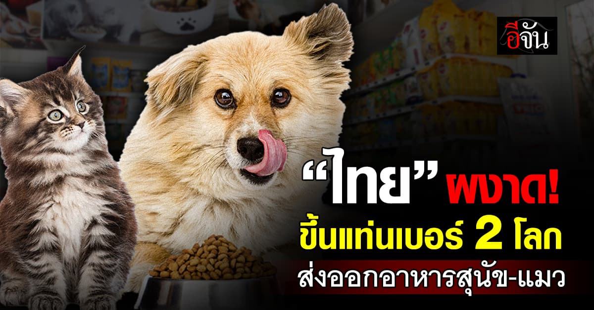 “ไทย” ขึ้นแท่นเบอร์ 2 โลก ส่งออกอาหารสุนัข-แมว