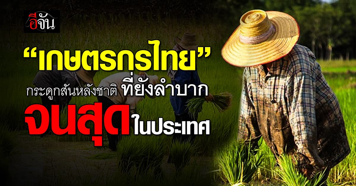 “เกษตรกรไทย” จนสุดในประเทศ กว่า 45.49%