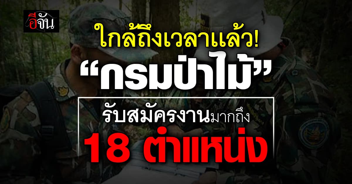 กรมป่าไม้ เปิดรับสมัครพนักงานราชการทั่วไป 122 อัตรา (ทั่วประเทศ)