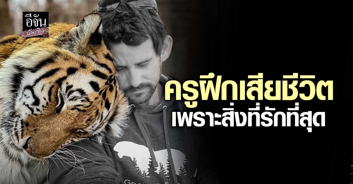 ช็อกกลางโชว์แสดง ครูฝึกถูกเสือกัดดับต่อหน้าครอบครัว