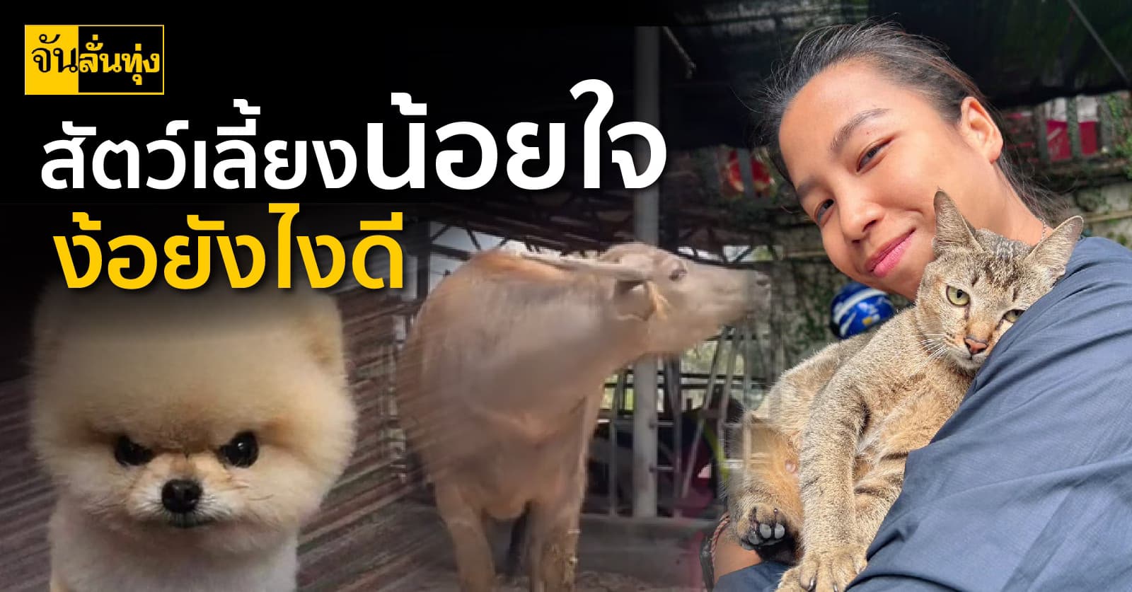 สัตว์เลี้ยงงอน ง้อยังไงดี  