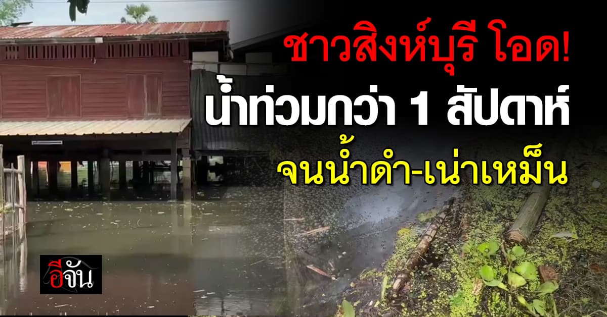 ชาวสิงห์บุรี โอด! น้ำท่วมกว่า 1 สัปดาห์ จนน้ำดำ-เน่าเหม็น 