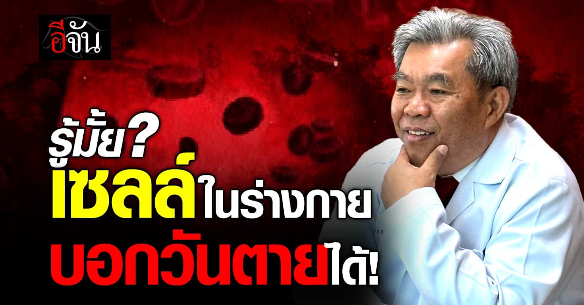 รู้มั้ย? เซลล์ในร่างกาย บอกวันตายได้ 