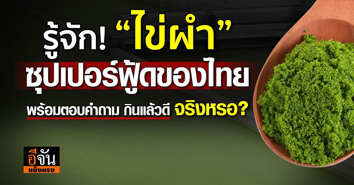 รู้จัก! “ไข่ผำ” หนึ่งในซุปเปอร์ฟู้ดของไทย