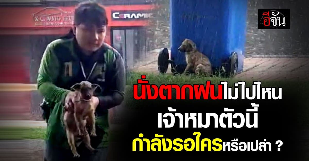 เวทนา น้องหมานั่งตากฝนข้างถังขยะ ไรเดอร์ใจดีวิ่งฝ่าฝน ช่วยไว้ไม่กลัวเปียก