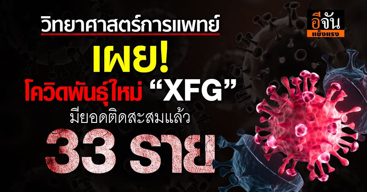 วิทยาศาสตร์การแพทย์ เผย โควิดสายพันธุ์ใหม่ “XFG” ยอดป่วยสะสม 33 ราย  
