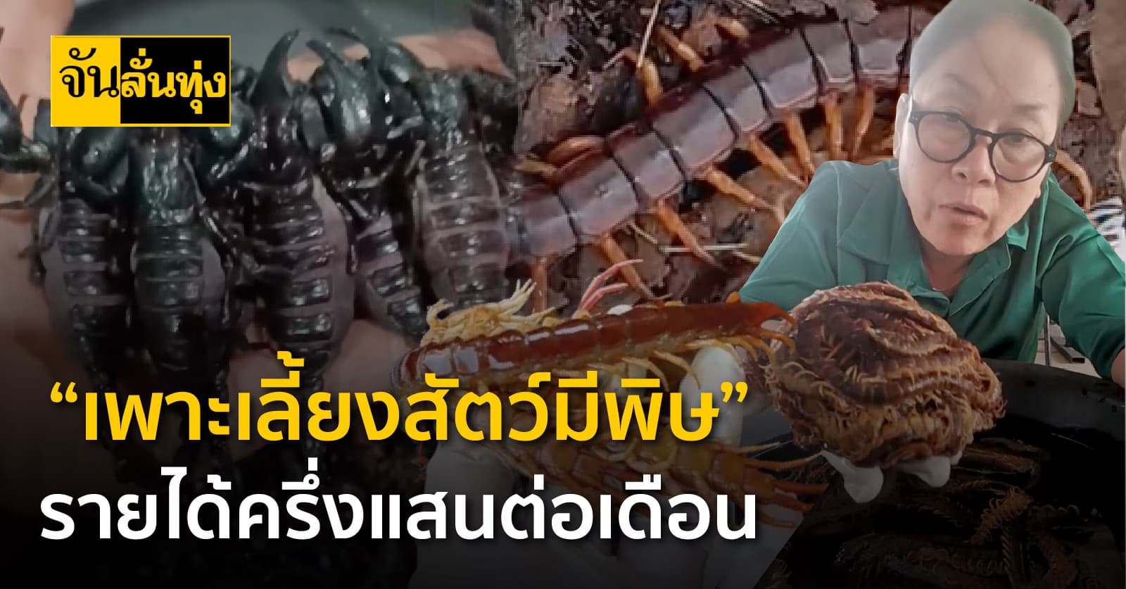 จากสัตว์มีพิษ สู่ ธุรกิจที่สร้างรายได้ล้นหลาม อาชีพ “เพาะเลี้ยงสัตว์มีพิษ”