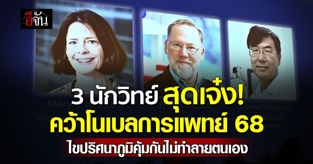 มงลง! 3 นักวิทย์ คว้า โนเบลการแพทย์ หลังค้นพบภาวะทนทานต่อภูมิคุ้มกันส่วนปลาย 