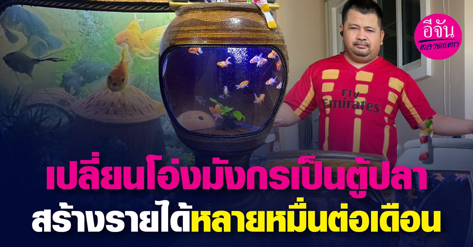 เปลี่ยนโอ่งมังกรเป็นตู้ปลา สร้างรายได้หลายหมื่นต่อเดือน  