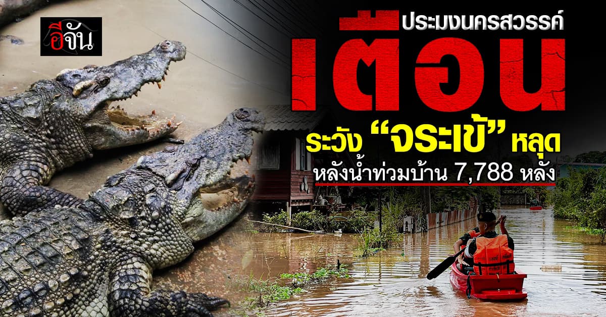 ประมงนครสวรรค์ เตือน ระวัง “จระเข้” หลุด หลังน้ำท่วมบ้าน 7,788 หลัง