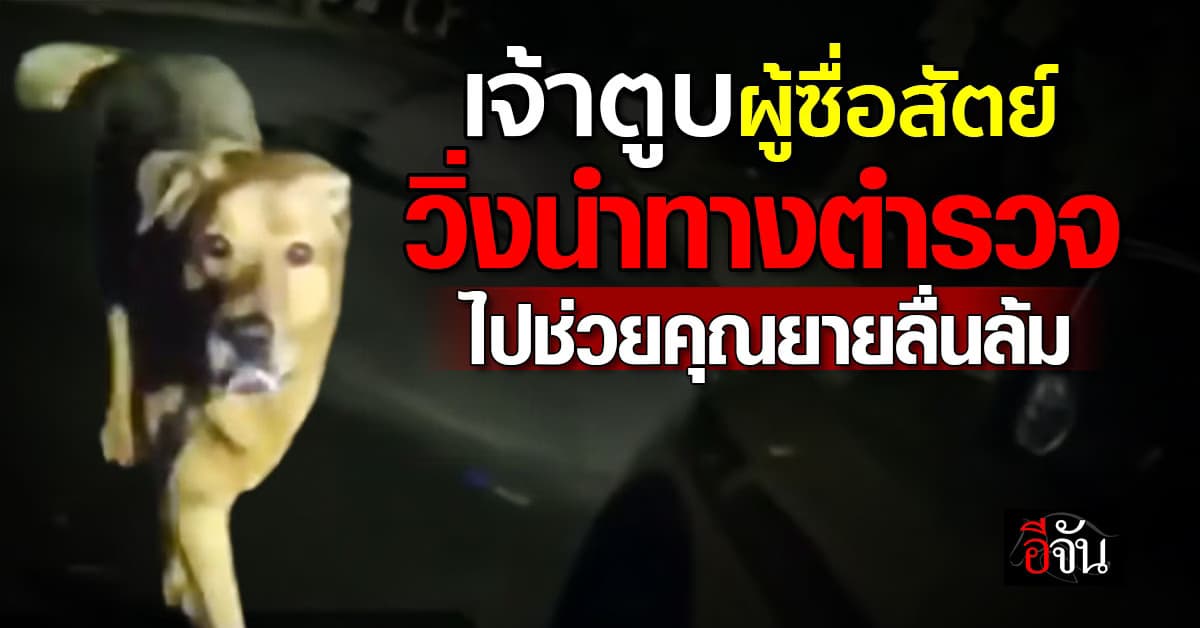 เจ้าตูบซื่อสัตย์ วิ่งนำทางไปหาคุณยาย ที่ประสบเหตุลื่นล้ม