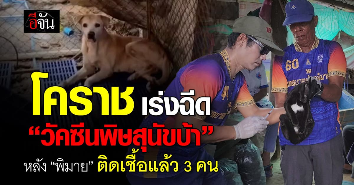 โคราช เร่งฉีด “วัคซีนพิษสุนัขบ้า” หลัง “พิมาย” ติดเชื้อแล้ว 3 คน 