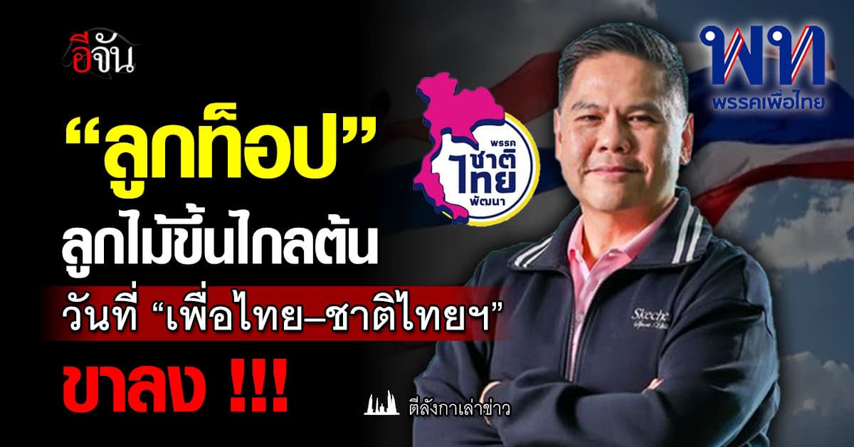 “ลูกท็อป” ลูกไม้ขึ้นไกลต้น วันที่ “เพื่อไทย – ชาติไทยฯ” อยู่ขาลง 
