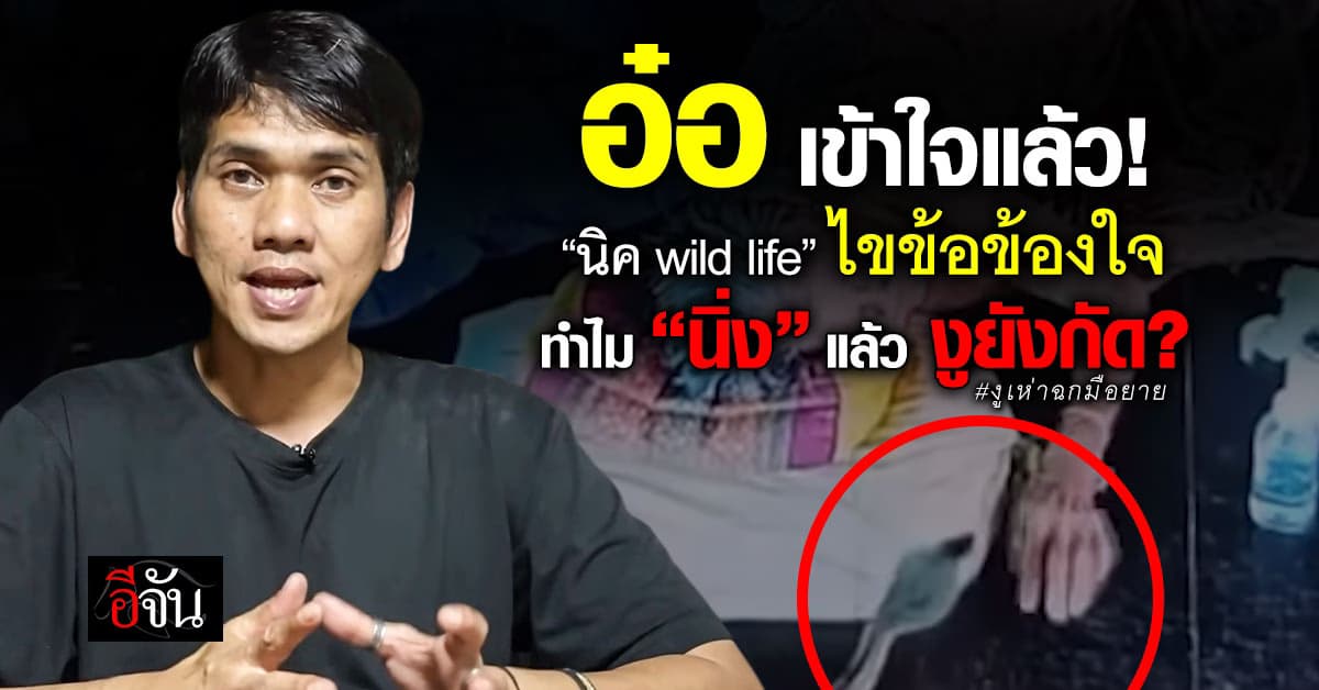 นิค Wild life โพสต์คลิป ไขข้อสงสัย ยายอยู่นิ่ง ทำไมงูยังกัด