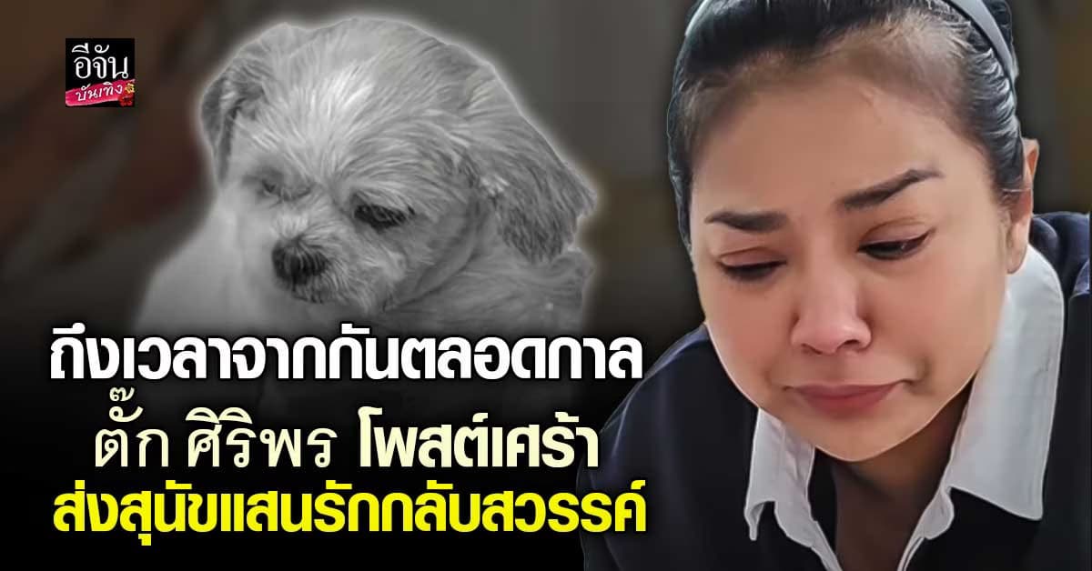 ส่งกำลังใจให้ ตั๊ก ศิริพร สุดกลั้น บอกลาสุนัขแสนรักตลอดกาล