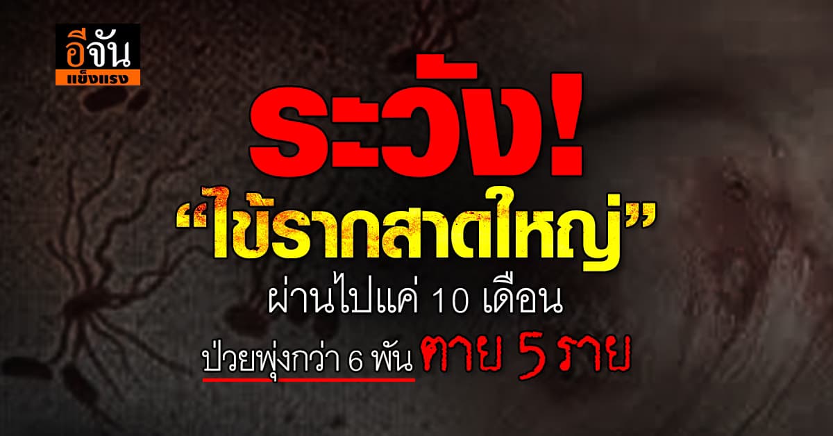 หมอเตือน “ไข้รากสาดใหญ่” ระบาดช่วงปลายฝนต้นหนาว