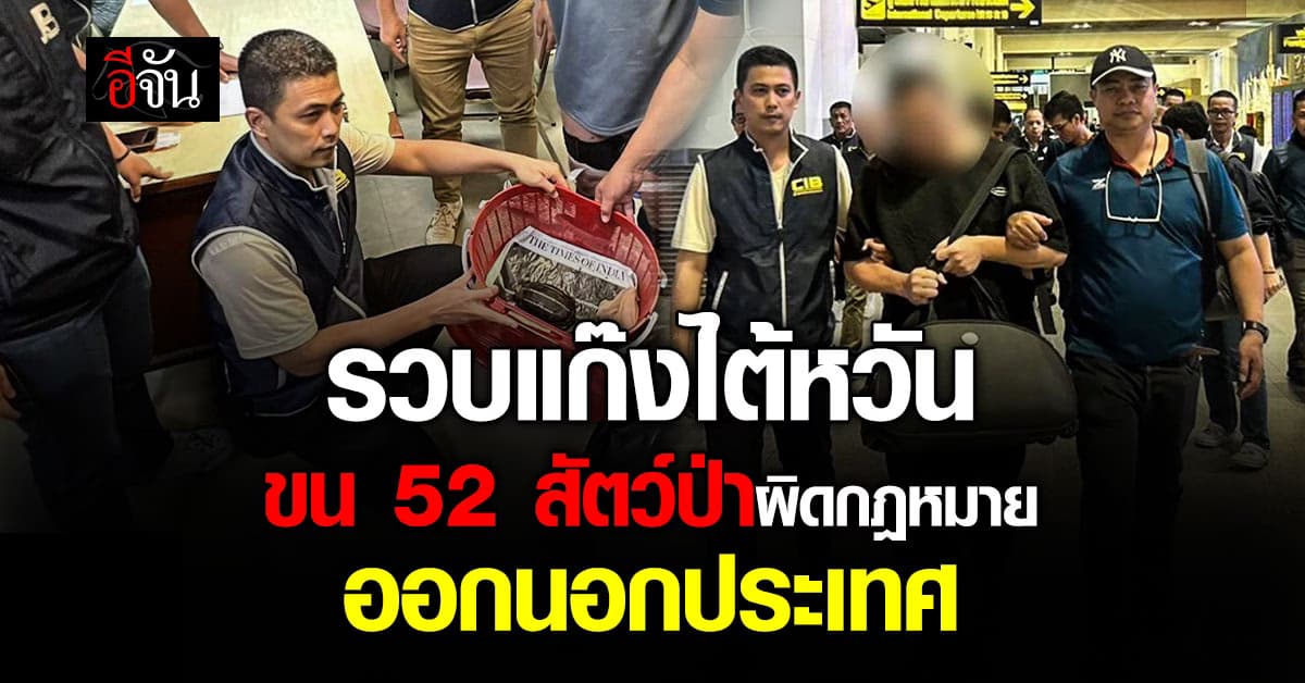 CIB รวบแก๊งไต้หวัน ขน 52 สัตว์ป่าผิดกฎหมาย ออกนอกประเทศ