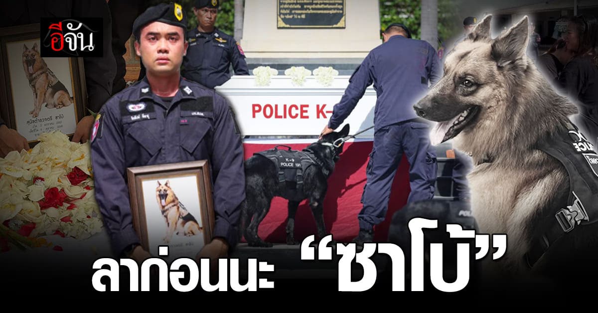 สู่สุคตินะ สุนัขตำรวจตรีซาโบ้ พวกเราจะคิดถึงนายตลอดไป